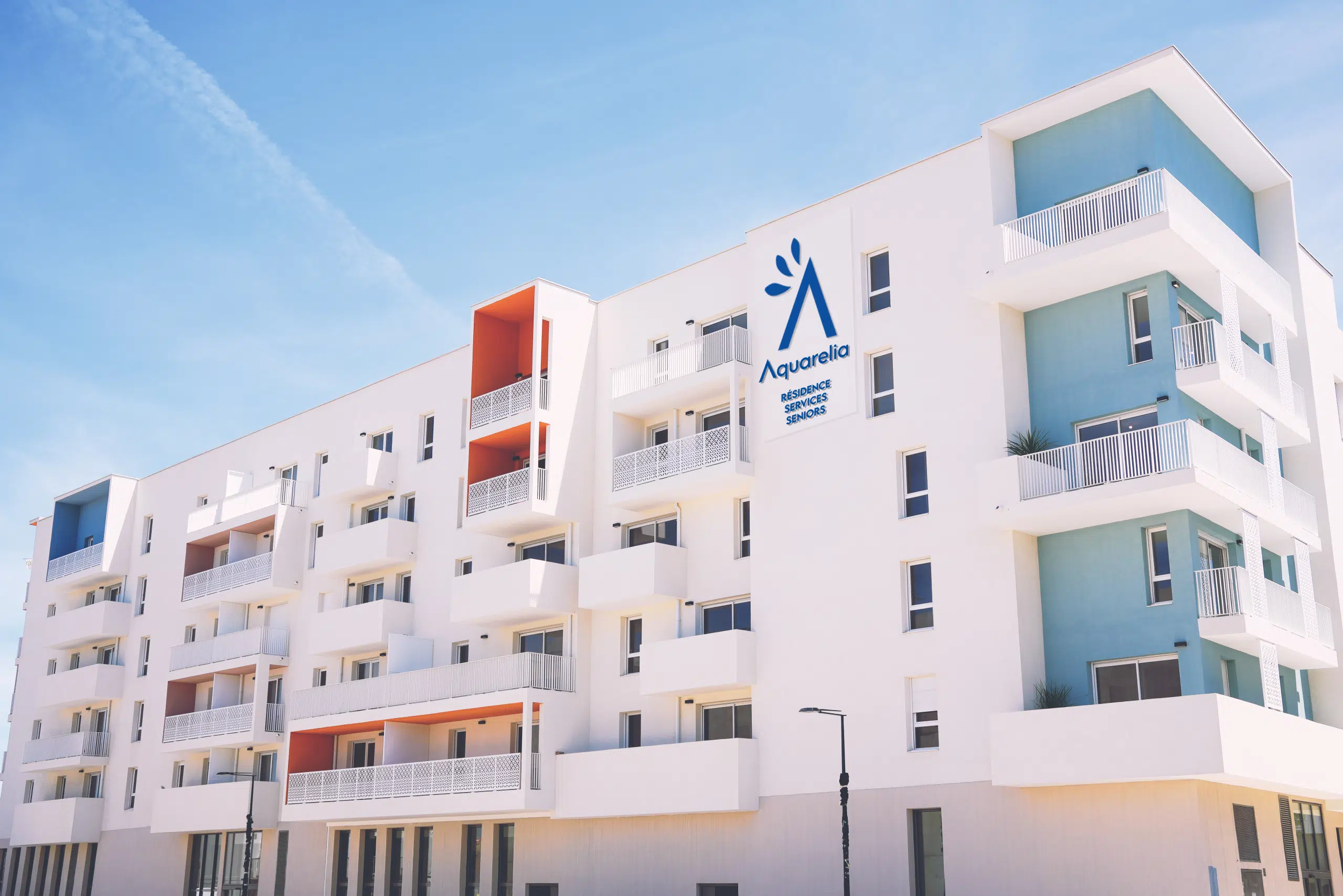 aquarelia insertion (5)